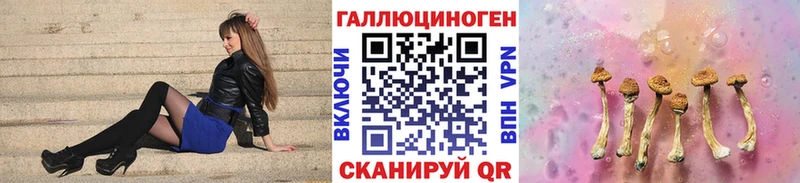 kraken как войти  Электросталь  Псилоцибиновые грибы Psilocybine cubensis  что такое наркотик 